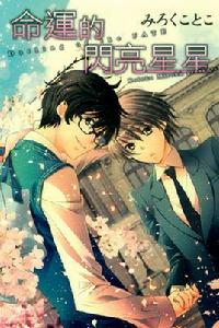 命運的閃亮星星 命運的閃亮星星