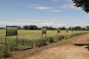 西北灣鄉 西北灣鄉