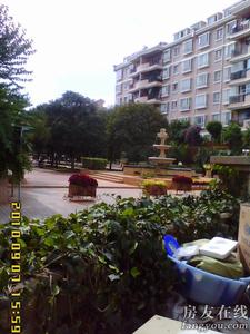 錦苑花園 錦苑花園