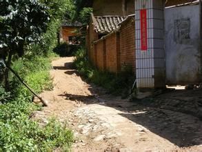 杉高樹村 杉高樹村