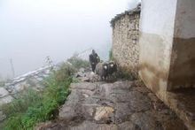 石莊村[雲南省昆明市東川區湯丹鄉下轄村]