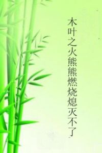 木葉之火熊熊燃燒熄滅不了