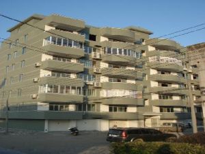 石古墩村 石古墩村