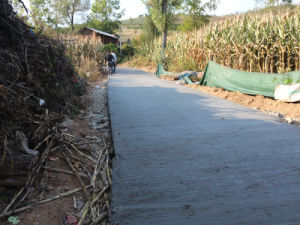 岔門口村 岔門口村