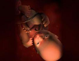 懷孕37周 懷孕37周