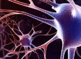 蛛網膜增厚 蛛網膜增厚