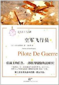 成為小王子之路：空軍飛行員