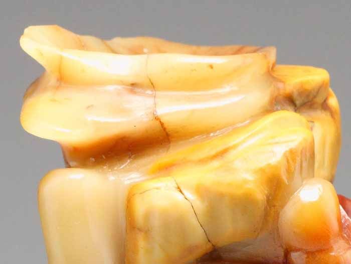 瓶口狀如開放的白牡丹花