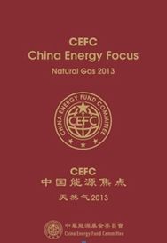 《中國能源焦點:天然氣2013》