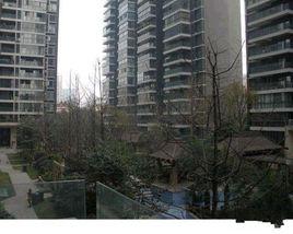 觀南上域 觀南上域