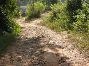 白沙河自然村 白沙河自然村