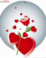 玫瑰情人節 玫瑰情人節