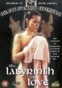 十一天十一夜6 十一天十一夜6