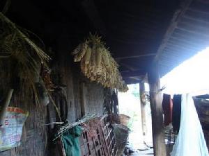 雙米地自然村人口衛生-居住環境