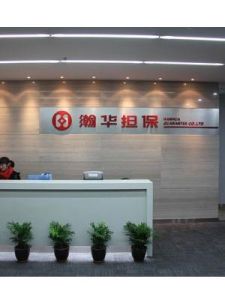 融資性擔保公司 融資性擔保公司