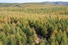 河北駝梁國家級自然保護區 河北駝梁國家級自然保護區