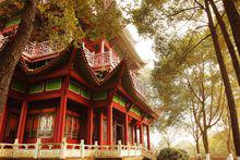 東方佛都[中國第五大石窟]