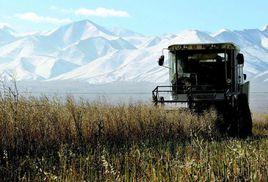 農業電氣化專業 農業電氣化專業