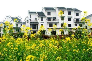 老徐田村 老徐田村