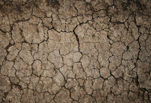 地面裂縫 地面裂縫