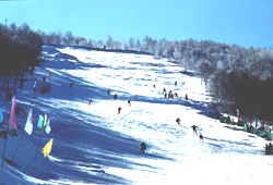 塞北滑雪場