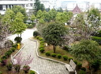 鰲江鎮第五中學 鰲江鎮第五中學