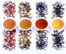 識茶善飲 識茶善飲