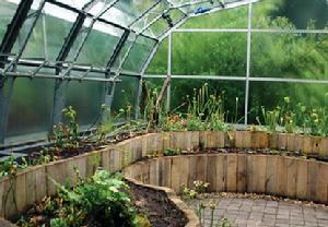 牛津大學植物園