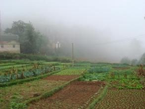 小碳房自然村 小碳房自然村