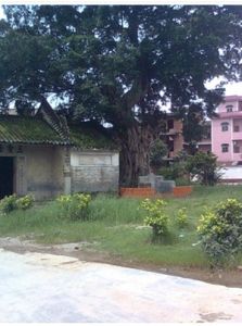 鍾落潭鎮 鍾落潭鎮