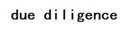 due diligence due diligence