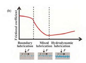 斯特里貝克曲線 斯特里貝克曲線