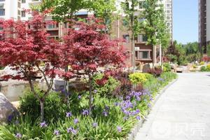 三龍·錦繡山莊 三龍·錦繡山莊