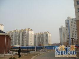 董家溝街道 董家溝街道