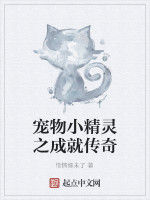 寵物小精靈之成就傳奇 寵物小精靈之成就傳奇