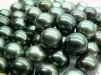 塔希提黑珍珠 塔希提黑珍珠