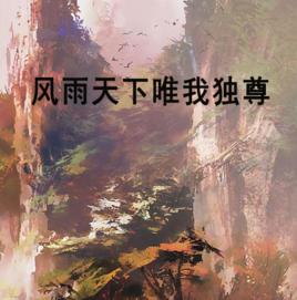 風雨天下唯我獨尊 風雨天下唯我獨尊