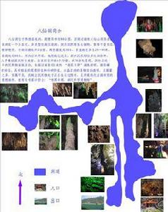 貴州八仙洞 貴州八仙洞