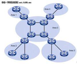 動態選路協定 動態選路協定
