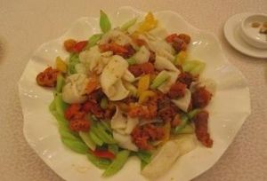 珊瑚花枝片 珊瑚花枝片