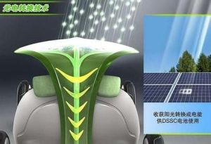 光合作用誘導期 光合作用誘導期