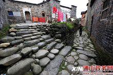 寶石村[湖北省通山縣闖王鎮寶石村]