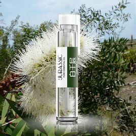 綠花白千層精油