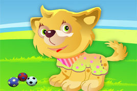 最可愛的小狗 最可愛的小狗