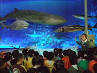 同學們在常州少兒自然博物館參觀