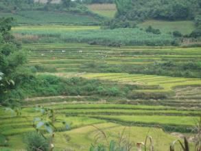 硝塘壩自然村 硝塘壩自然村