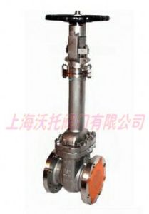 鍛鋼波紋管閘閥 鍛鋼波紋管閘閥