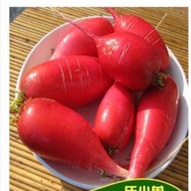 紅蘿蔔水 紅蘿蔔水