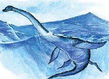 神出鬼沒的海怪