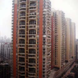 長江一路15號 長江一路15號